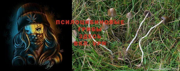 тгк Заволжье
