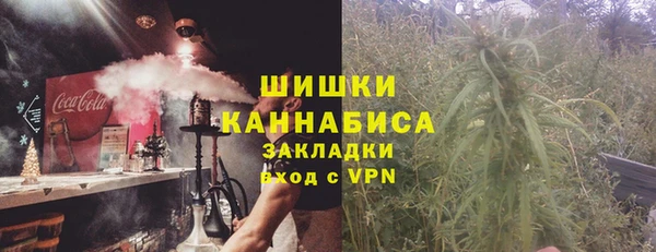 дмт Заводоуковск