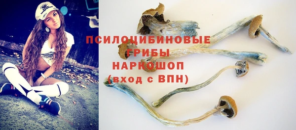 дмт Заводоуковск