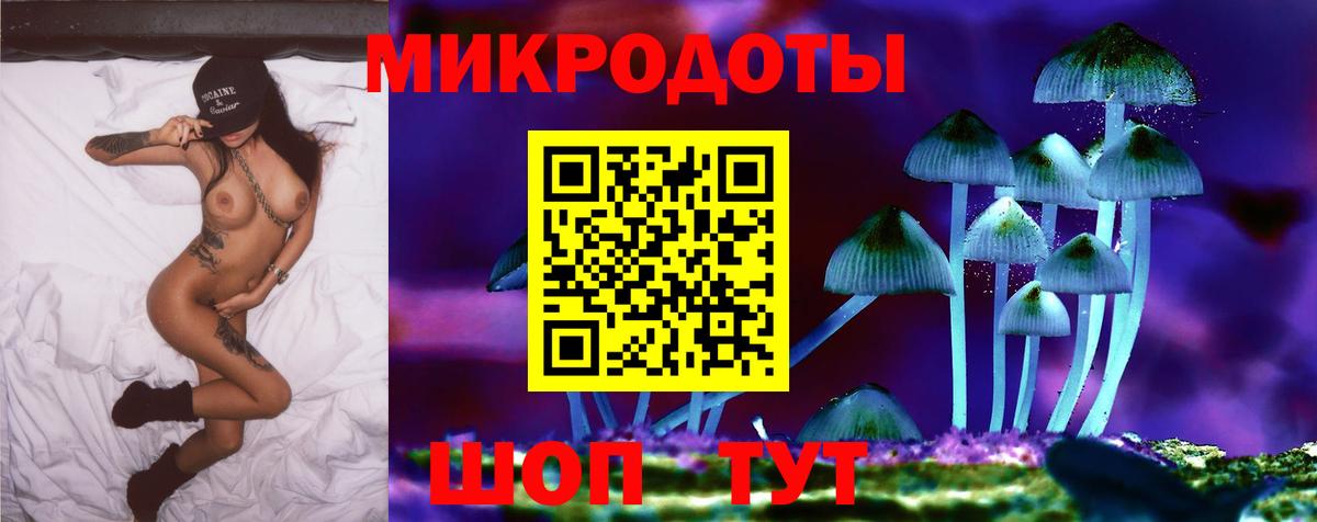 Сегежа  Галлюциногенные грибы Magic Shrooms  Вход с VPN 