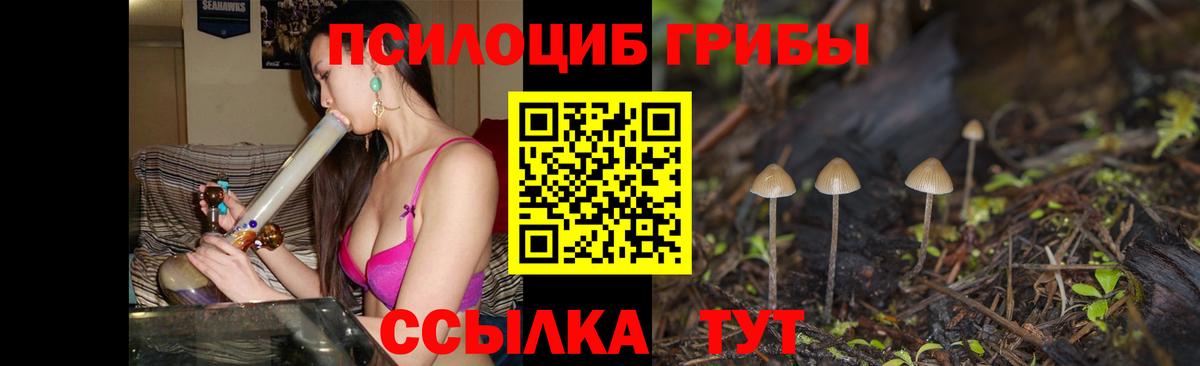 Галлюциногенные грибы GOLDEN TEACHER Сегежа